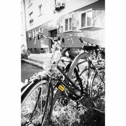 Kryptonite New York Fahgettaboudit 1410 Chain Lock 7 Kryptonite New York Fahgettaboudit 1410 Chain Lock -Klickfix Salg 93704F518B03E92069EBB80834F910F2